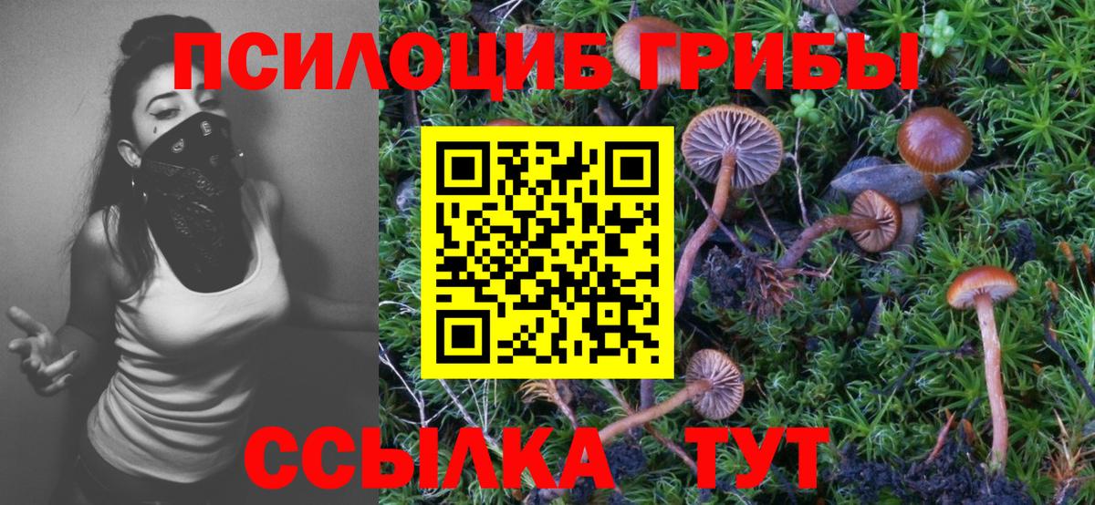 Псилоцибиновые грибы Magic Shrooms Братск
