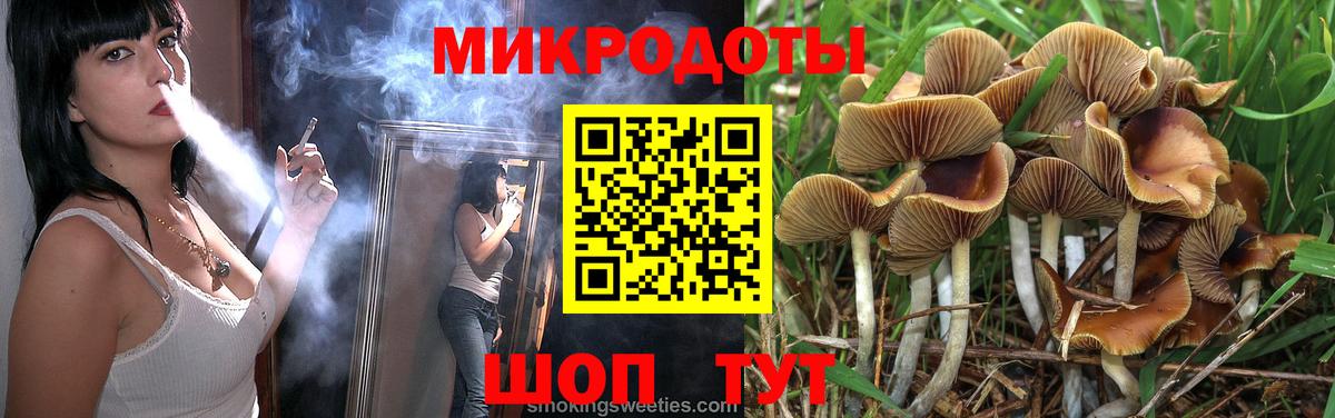 Галлюциногенные грибы GOLDEN TEACHER  Вход с VPN  Галлюциногенные грибы Magic Shrooms  Братск 